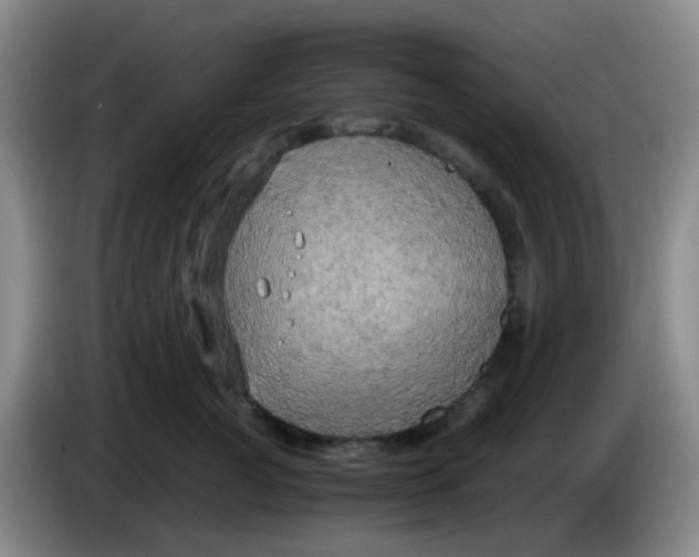 X0000083980761200703091824