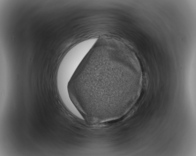 X0000083980762200703091824