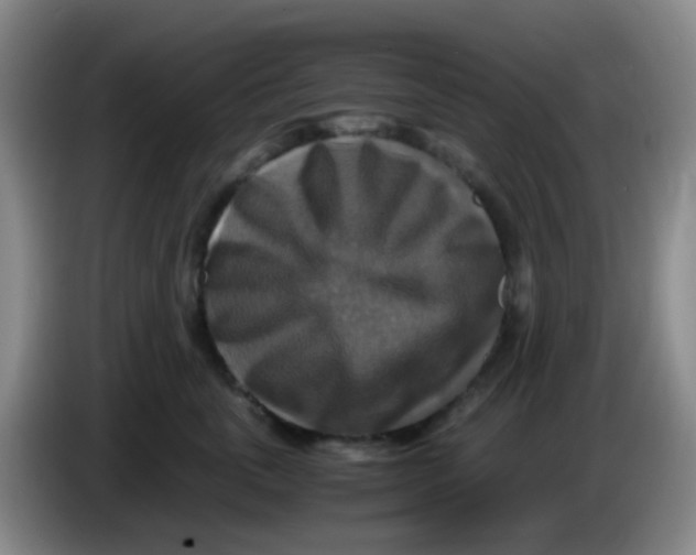 X0000083980763200703091824