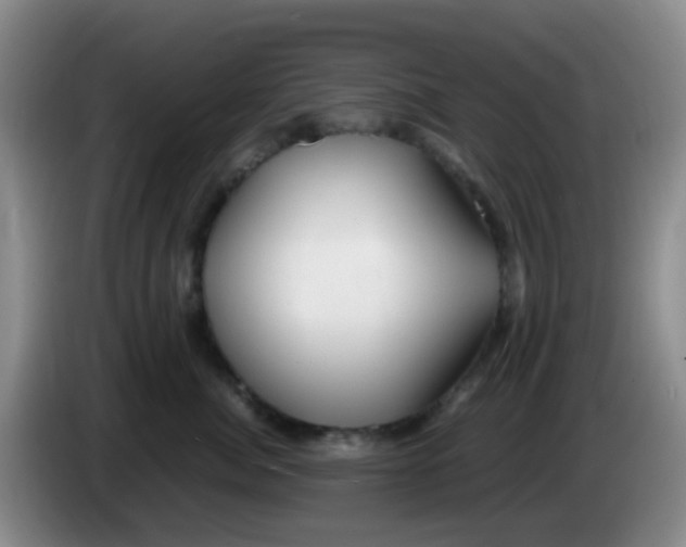 X0000083980764200703091824