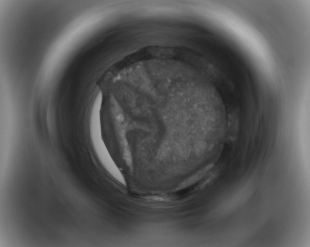 X0000083980765200703091824