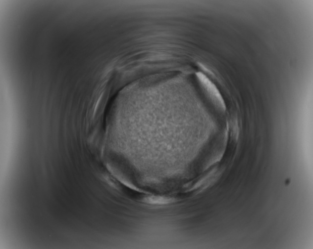 X0000083980766200703091824