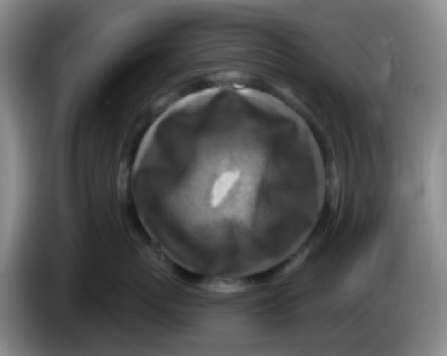 X0000083980767200703091824