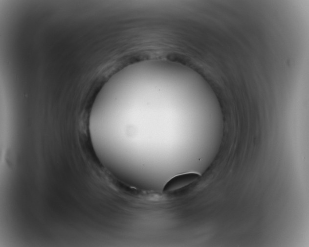 X0000083980768200703091824