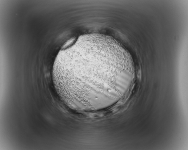 X0000083980771200703091823