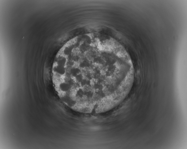 X0000083980772200703091823