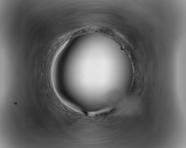 X0000083980773200703091823