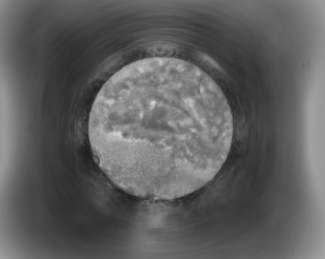 X0000083980774200703091823