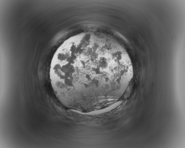 X0000083980775200703091823