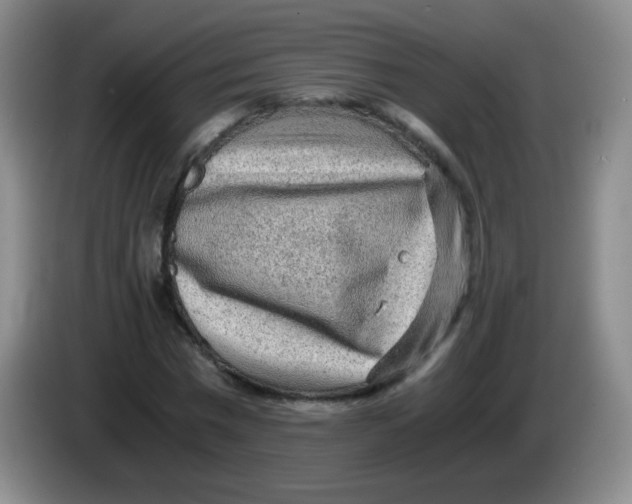 X0000083980777200703091823