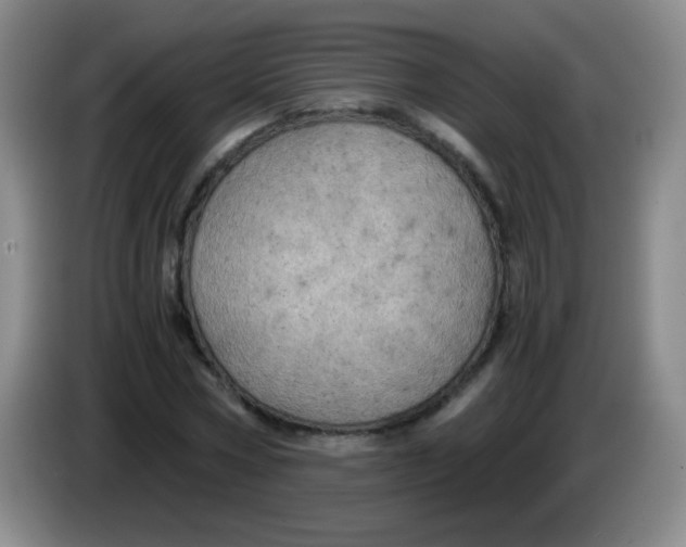 X0000083980778200703091823