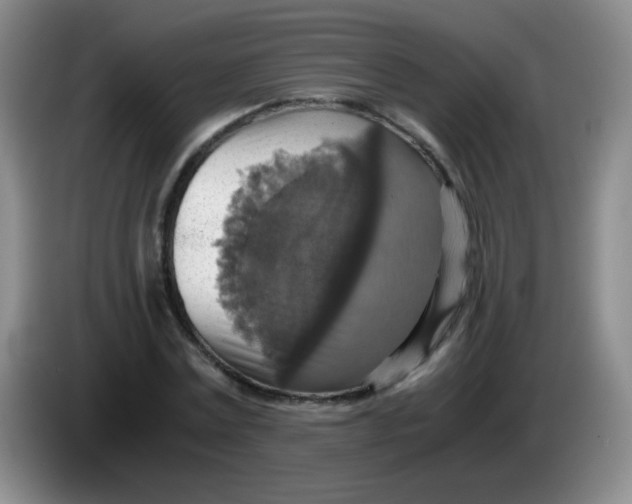 X0000083980779200703091823