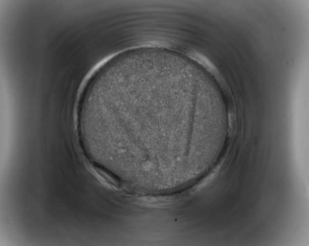 X0000083980780200703091823