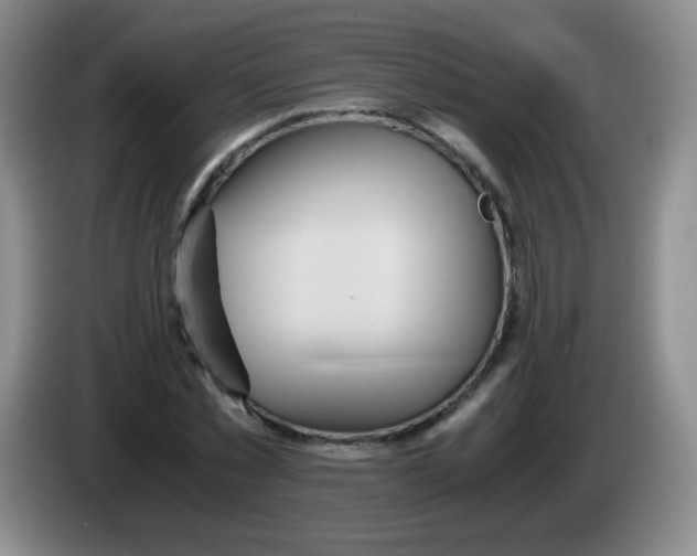 X0000083980781200703091823