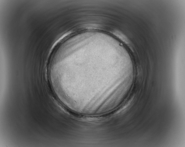 X0000083980782200703091823