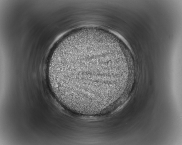 X0000083980783200703091823