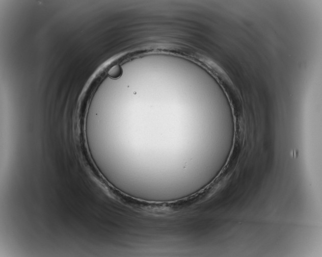 X0000083980784200703091823