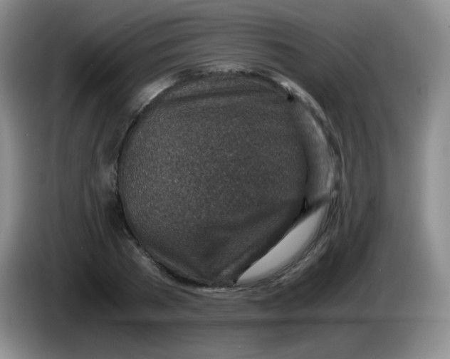 X0000083980785200703091823