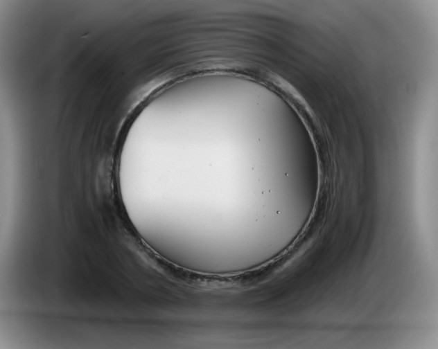 X0000083980786200703091823