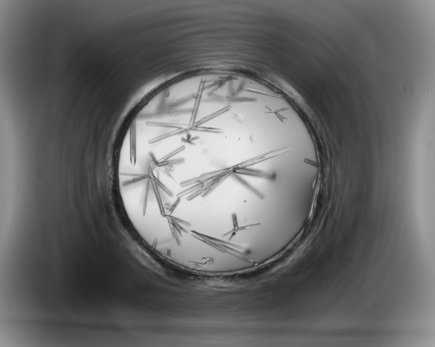 X0000083980787200703091823