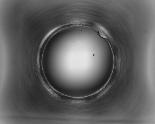 X0000083980788200703091823