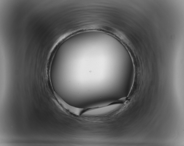 X0000083980789200703091823