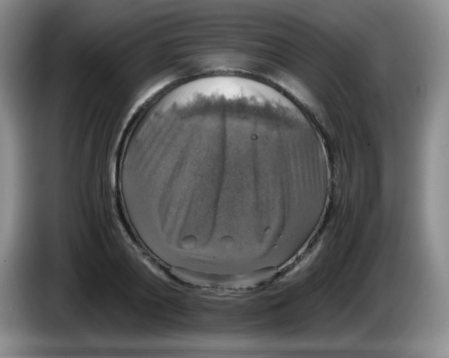 X0000083980790200703091823