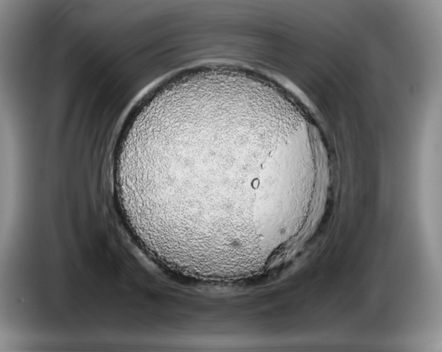 X0000083980791200703091823