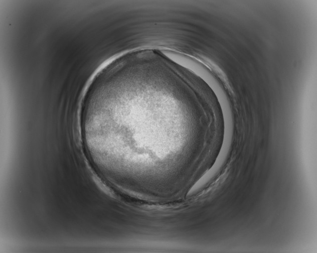 X0000083980792200703091823