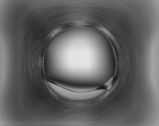 X0000083980793200703091823