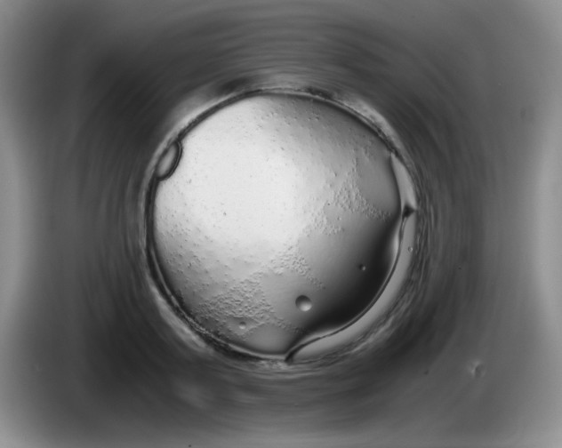 X0000083980795200703091823