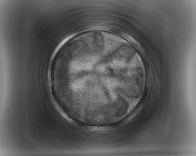 X0000083980796200703091823