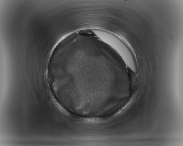 X0000083980797200703091823