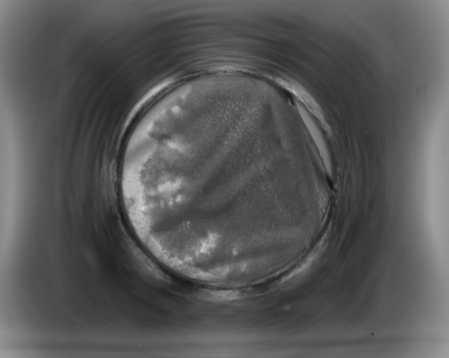 X0000083980798200703091823