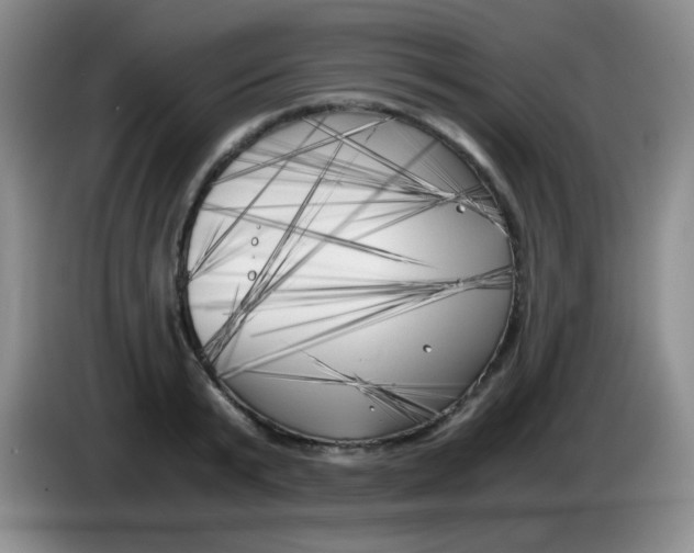 X0000083980799200703091823