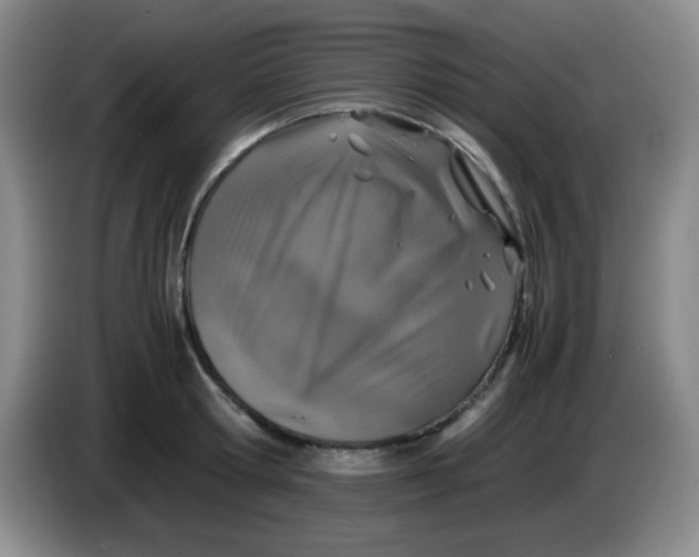 X0000083980802200703091823