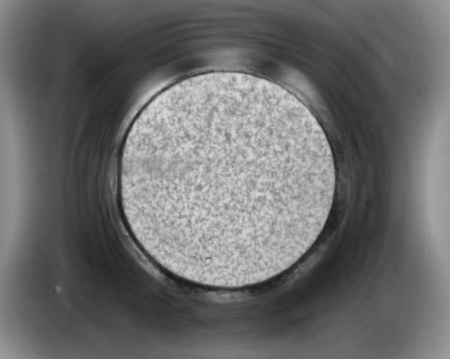 X0000083980804200703091823