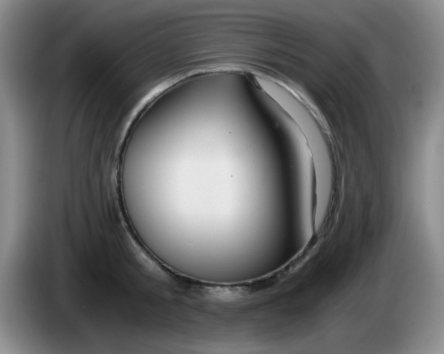 X0000083980805200703091823