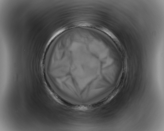 X0000083980806200703091823