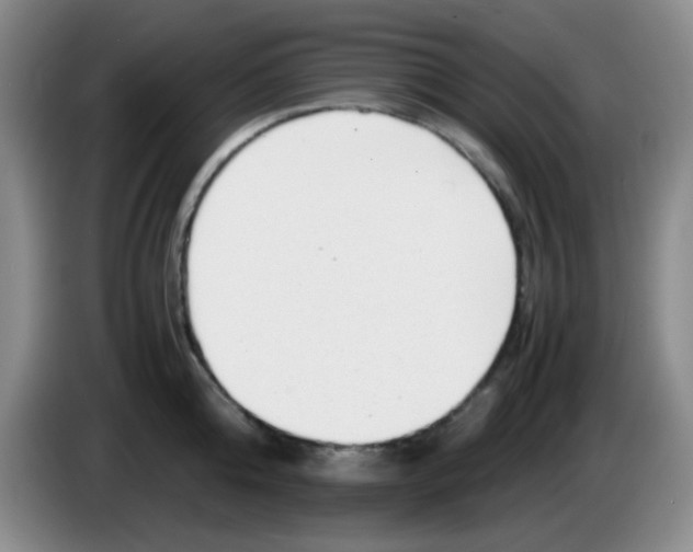 X0000083980808200703091823