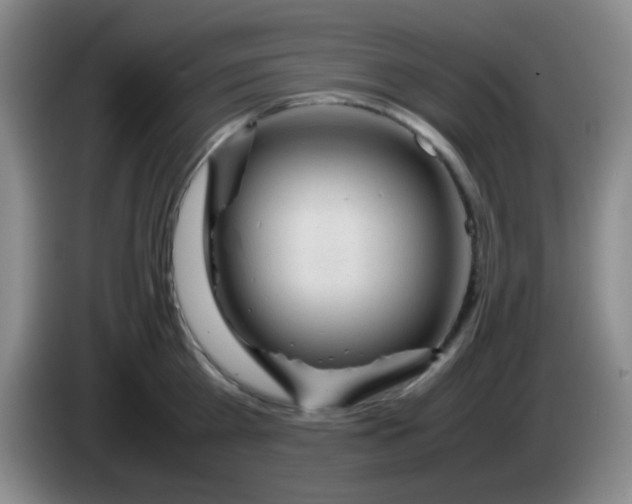 X0000083980809200703091823