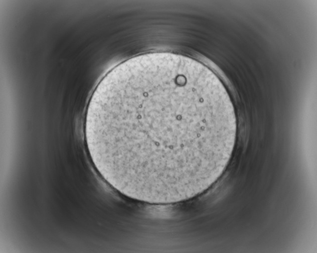 X0000083980810200703091823