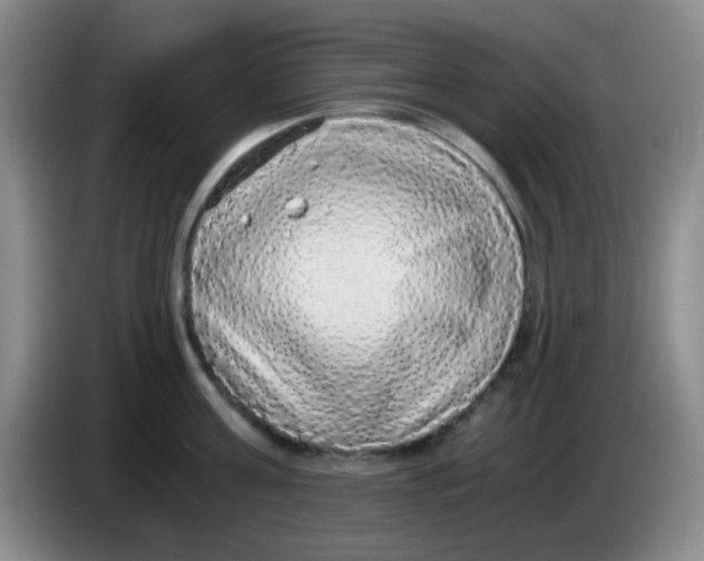 X0000083980811200703091823