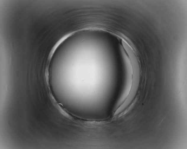 X0000083980812200703091823