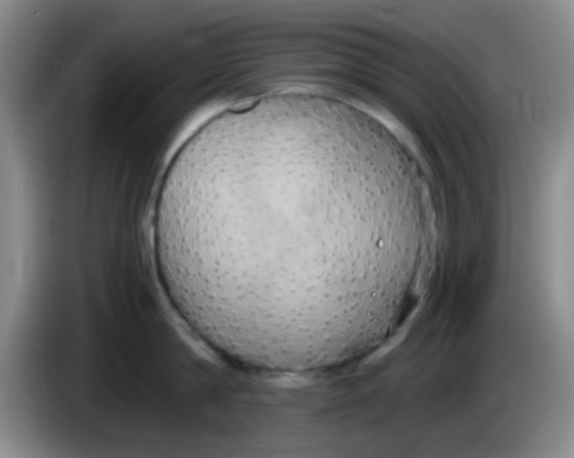 X0000083980814200703091823