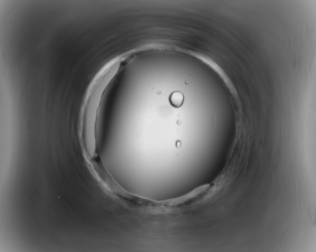 X0000083980815200703091822