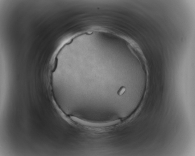 X0000083980816200703091822