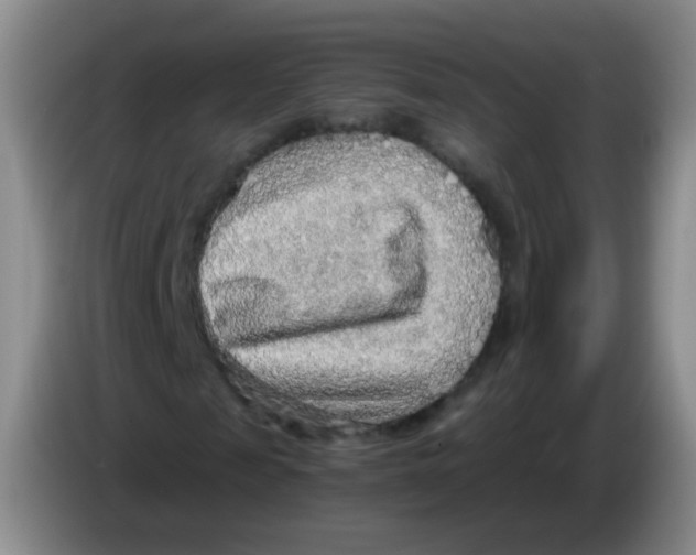 X0000083980817200703091822