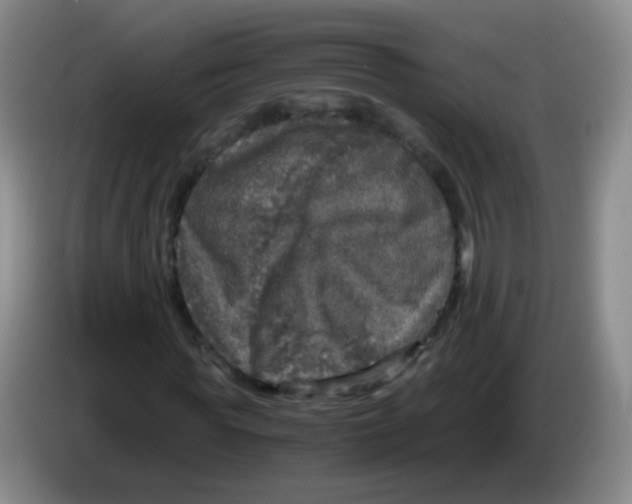 X0000083980819200703091822