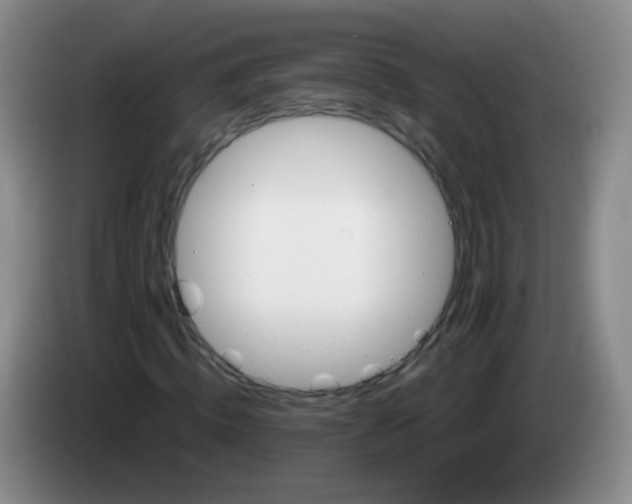 X0000083980820200703091822